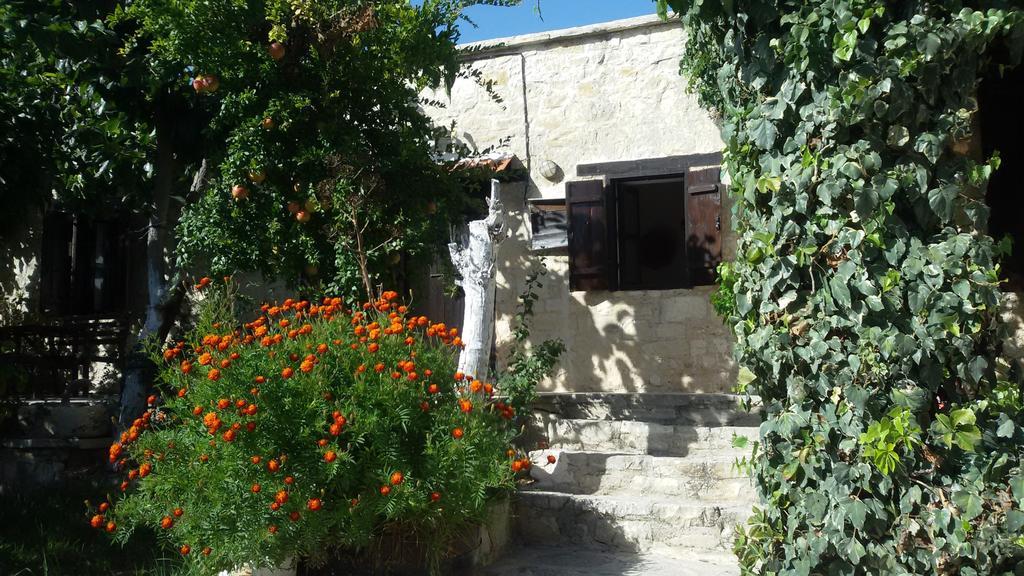 קאטהיקאס Loxandra Inn מראה חיצוני תמונה