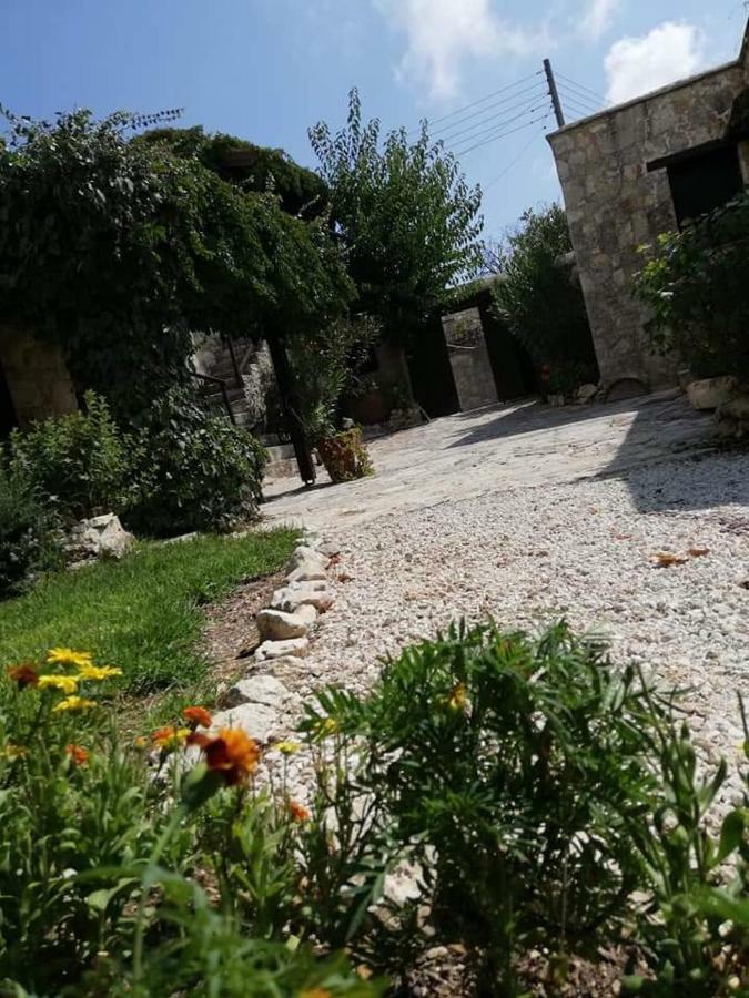 קאטהיקאס Loxandra Inn מראה חיצוני תמונה