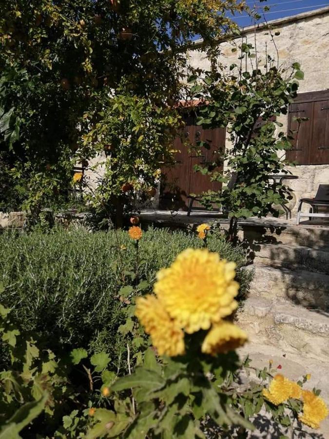 קאטהיקאס Loxandra Inn מראה חיצוני תמונה